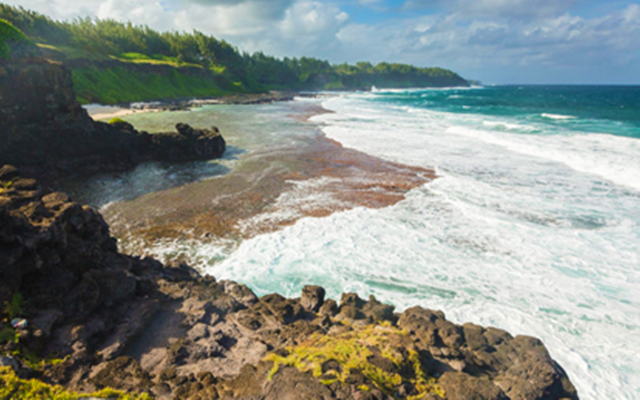 Teerouten-Tour – Kultur, Geschichte & geschmackvolle Eindrücke