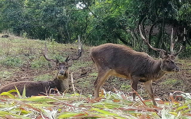 Abenteuer- & Outdoor-Aktivitäten auf Mauritius
