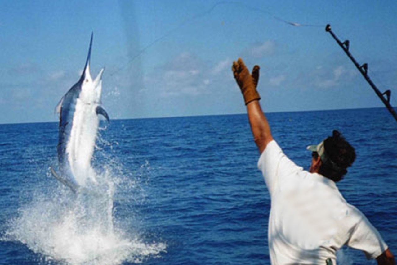 Abenteueraktivitäten Mauritius 1