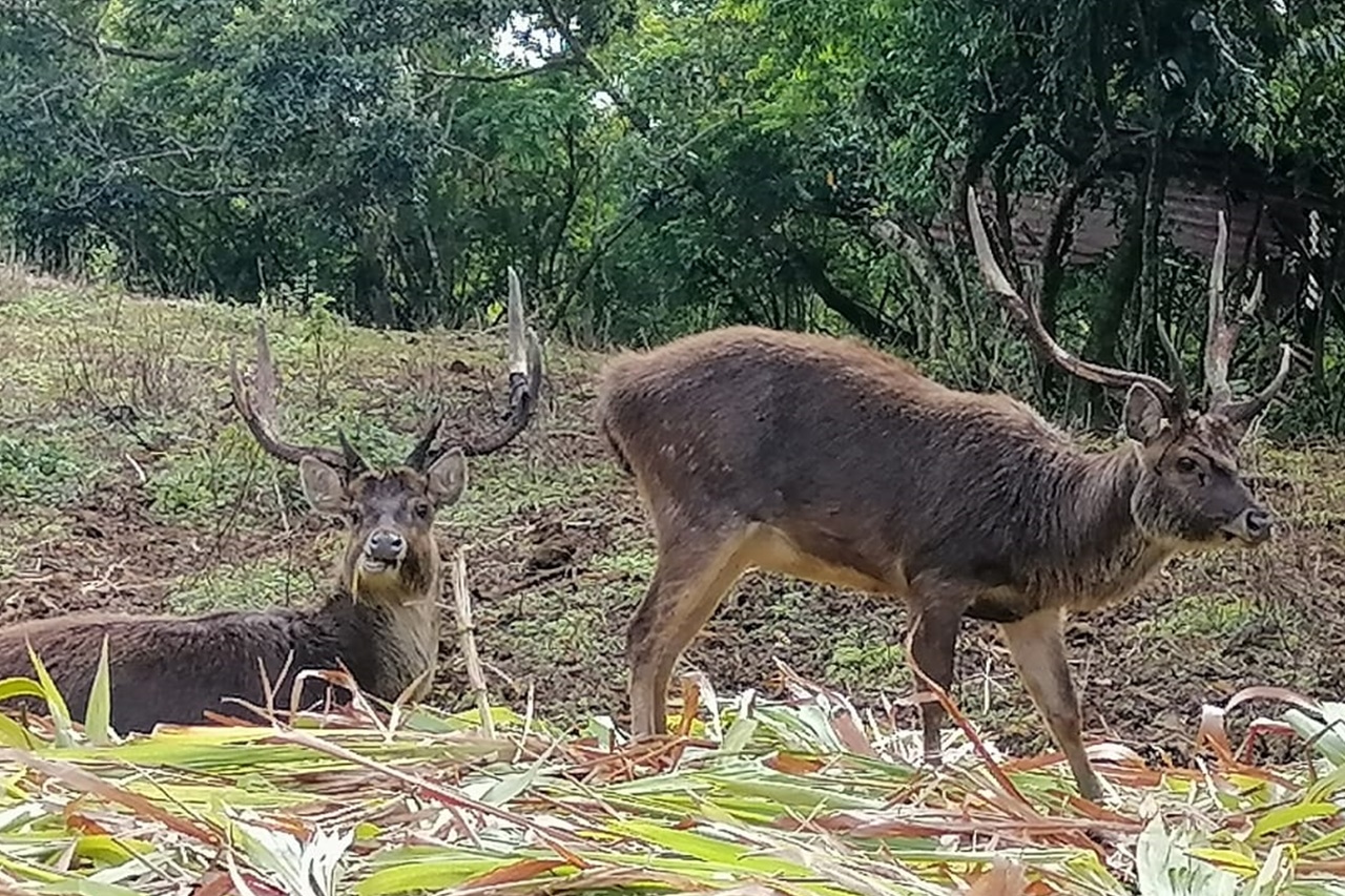 Abenteueraktivitäten Mauritius 3